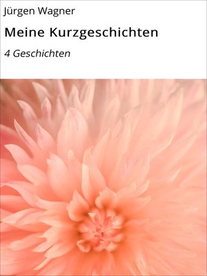 cover image of Meine Kurzgeschichten
